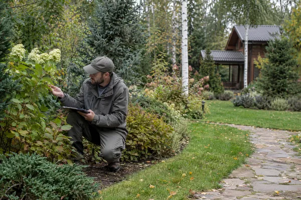 Подбор растений для участка — оценка условий участка. Визуальная концепция работы специалистов.