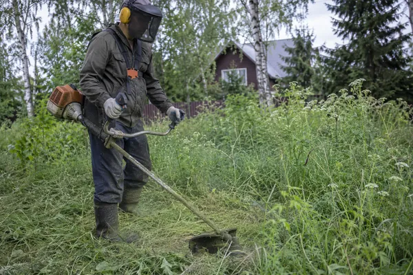 Расчистка заросшего участка — скашивание зарослей. Визуальная концепция работы специалистов.