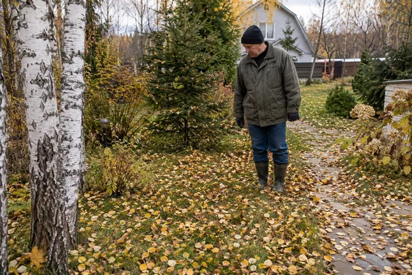 Уборка листвы на участке — осмотр участков для уборки. Визуальная концепция работы специалистов.