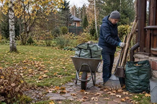 Уборка листвы на участке — порядок на участке. Визуальная концепция работы специалистов.