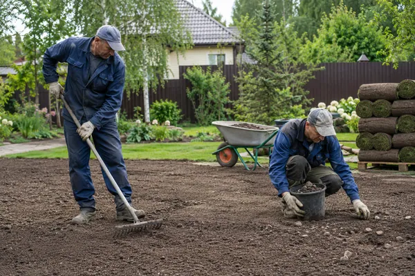 Подготовка основания. Укладка рулонного газона: визуализация работы специалистов на участке.