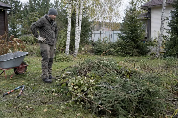 Вывоз веток с участка — оценка объёма веток. Визуальная концепция работы специалистов.