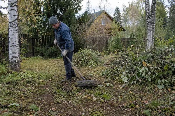 Вывоз веток с участка — уборка места сбора. Визуальная концепция работы специалистов.