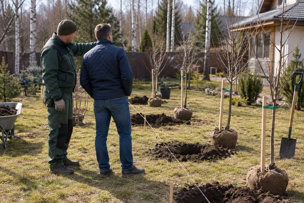 Закладка плодового сада — выбор мест и разметка. Визуальная концепция работы специалистов.